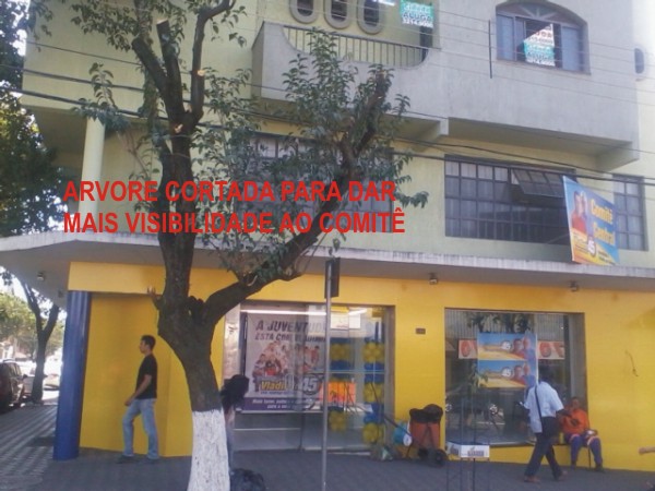 arvore cortada - psdb
